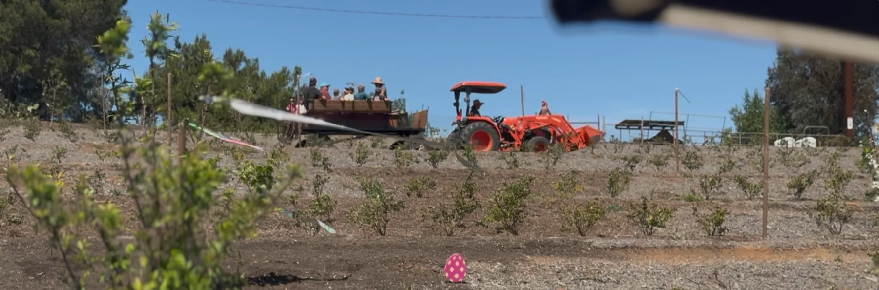 Visitors on a tractor-pulled wagon ride through a working farm during an agritourism event