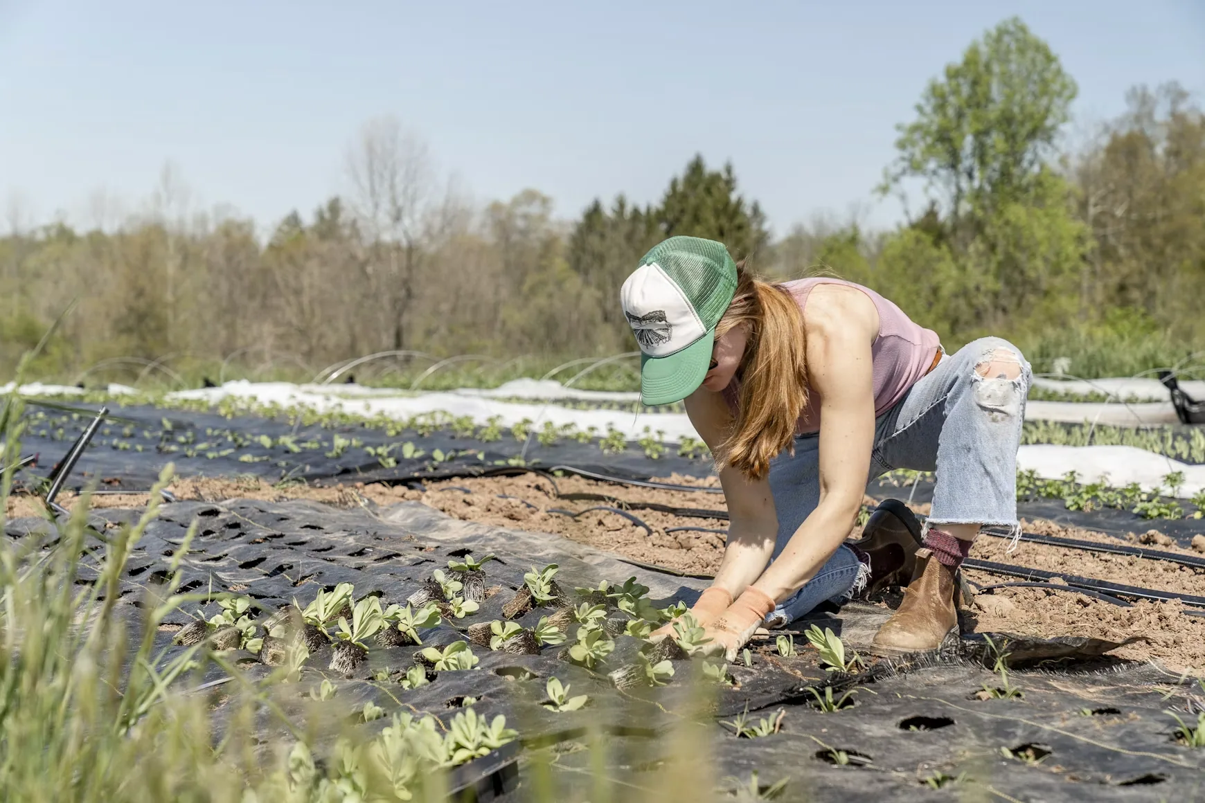 A farm worker planting seedlings by hand in prepared rows