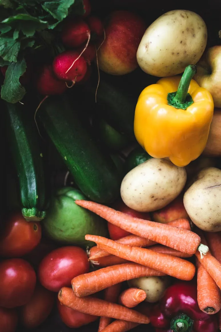 An assortment of freshly harvested vegetables